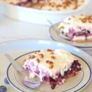 slice of low carb blueberry cheesecake delight on a plate