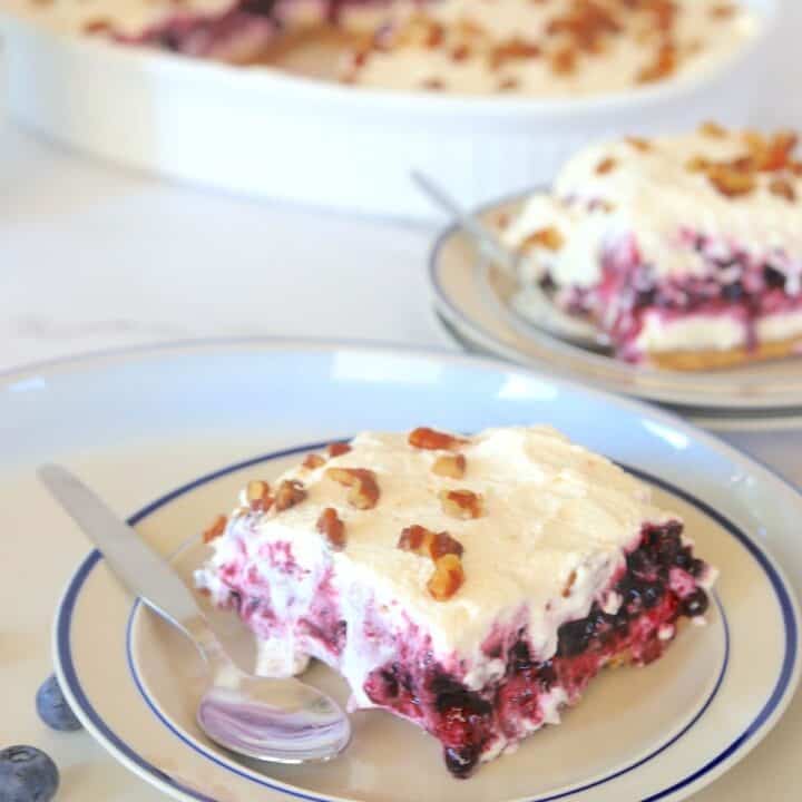 slice of low carb blueberry cheesecake delight on a plate