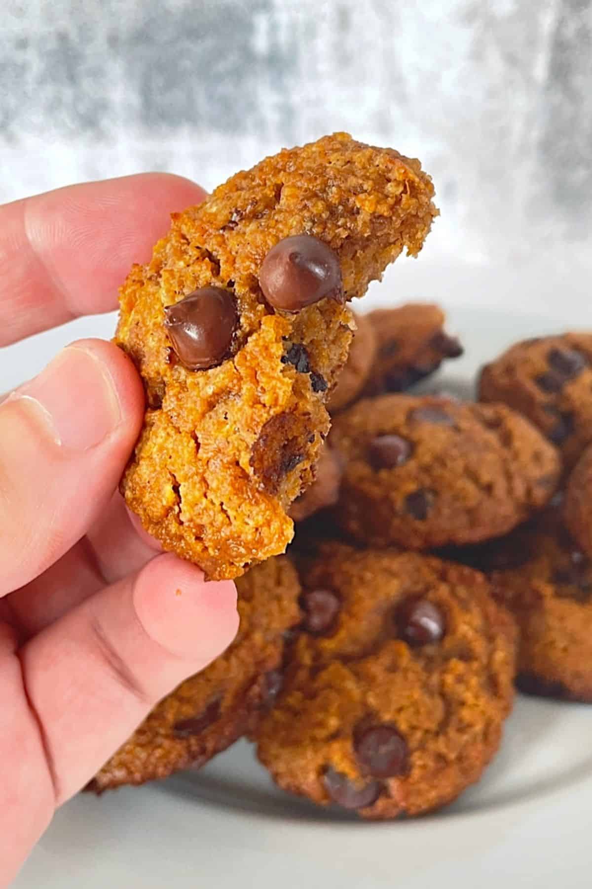 pumpkin cookies on a plate with a hand holding a half cookie