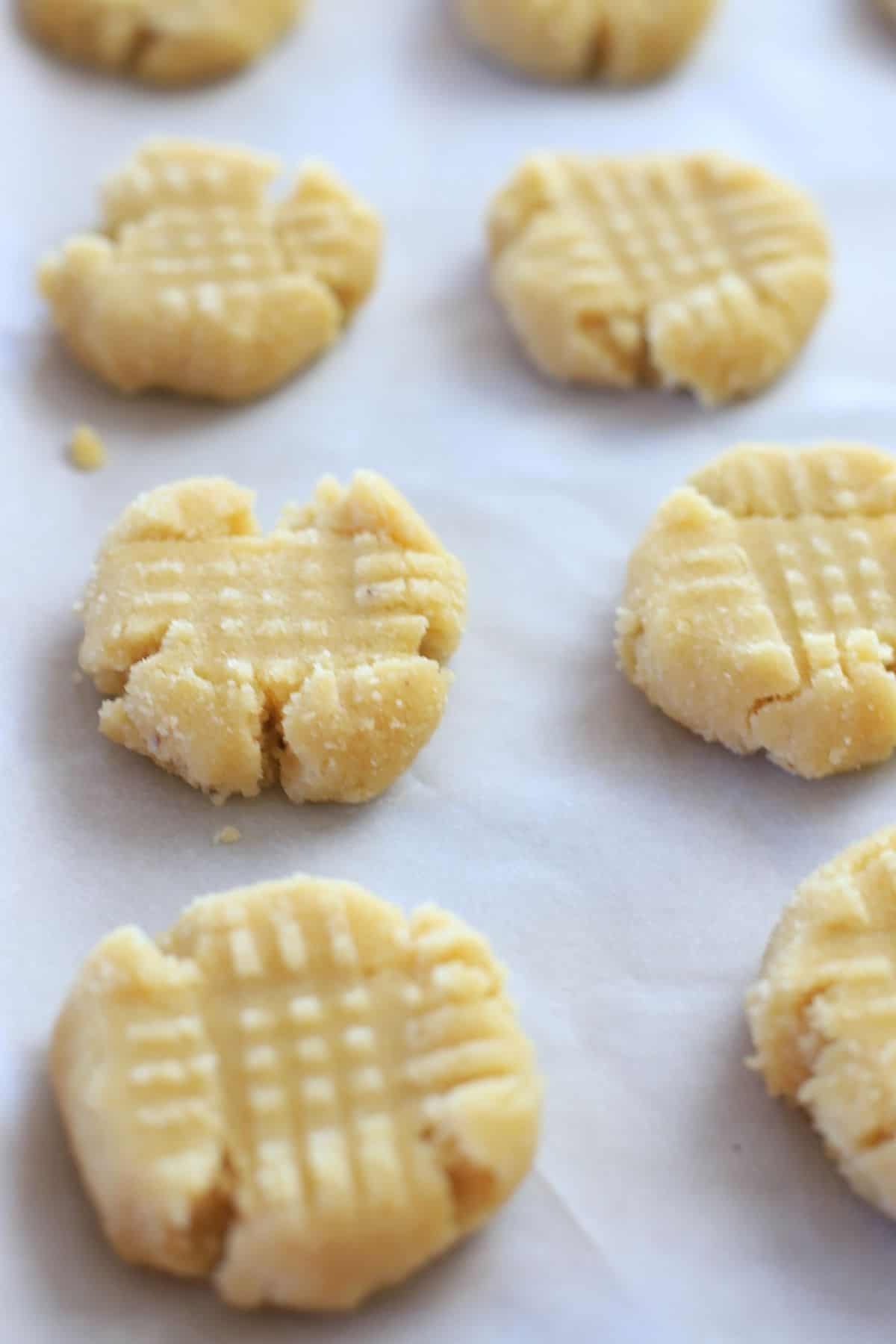 unbaked shortbread cookies on a parchment sheet