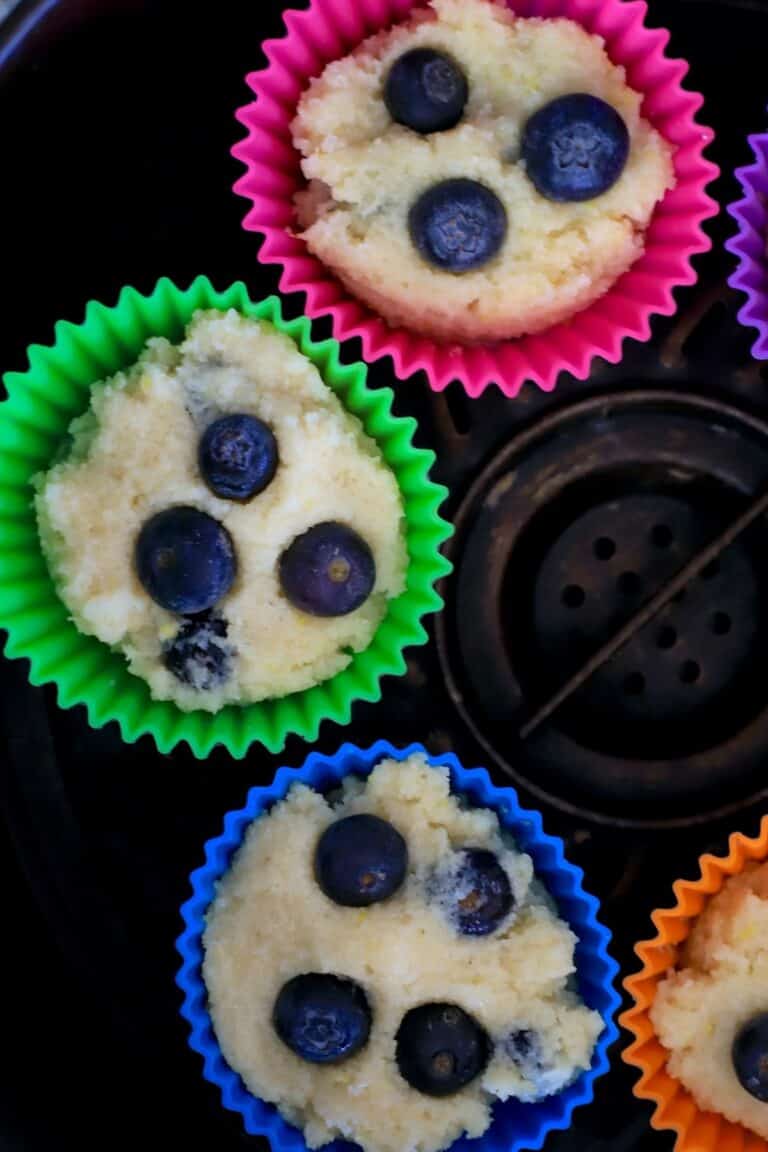 Low Carb Lemon Blueberry Muffins (Air Fryer) I Hacked Diabetes