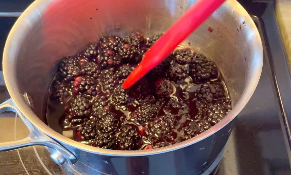 simmering the blackberries in a saucepan with a red rubber spatula.