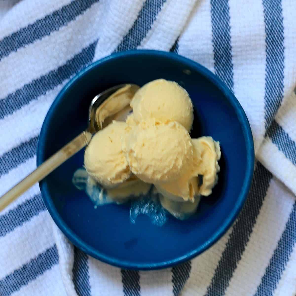 Ninja Creami Butterscotch Ice Cream (Sugar Free)