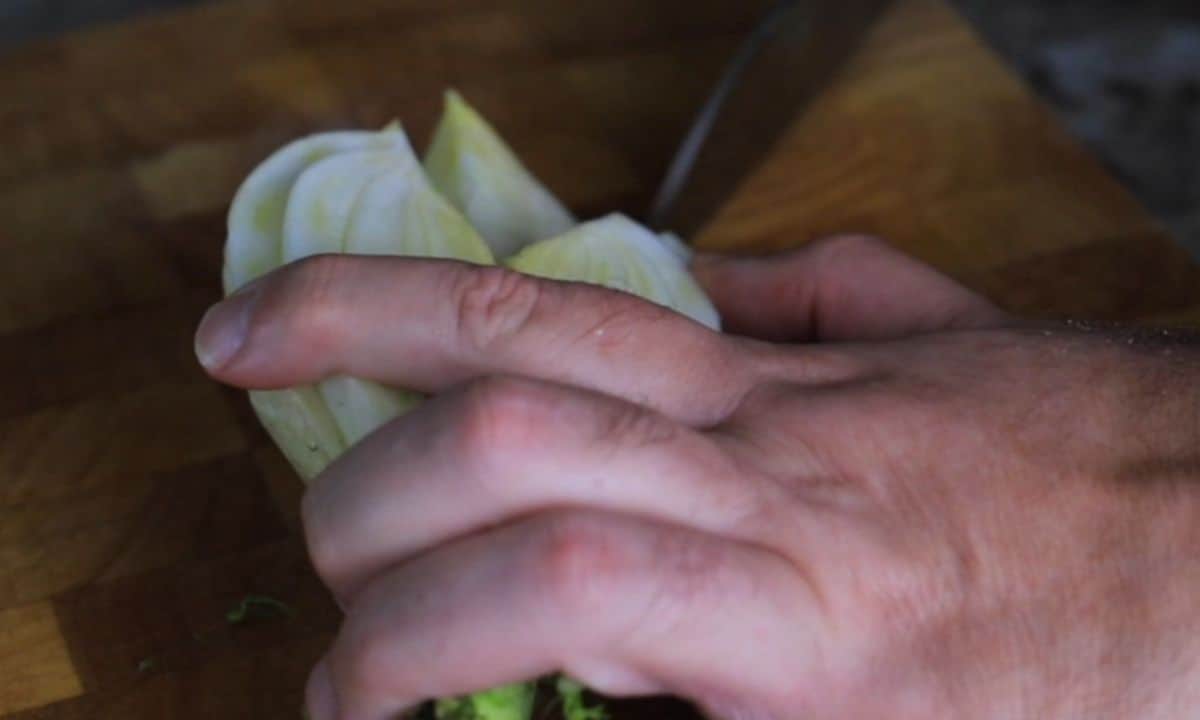 cutting the fennel bulb.