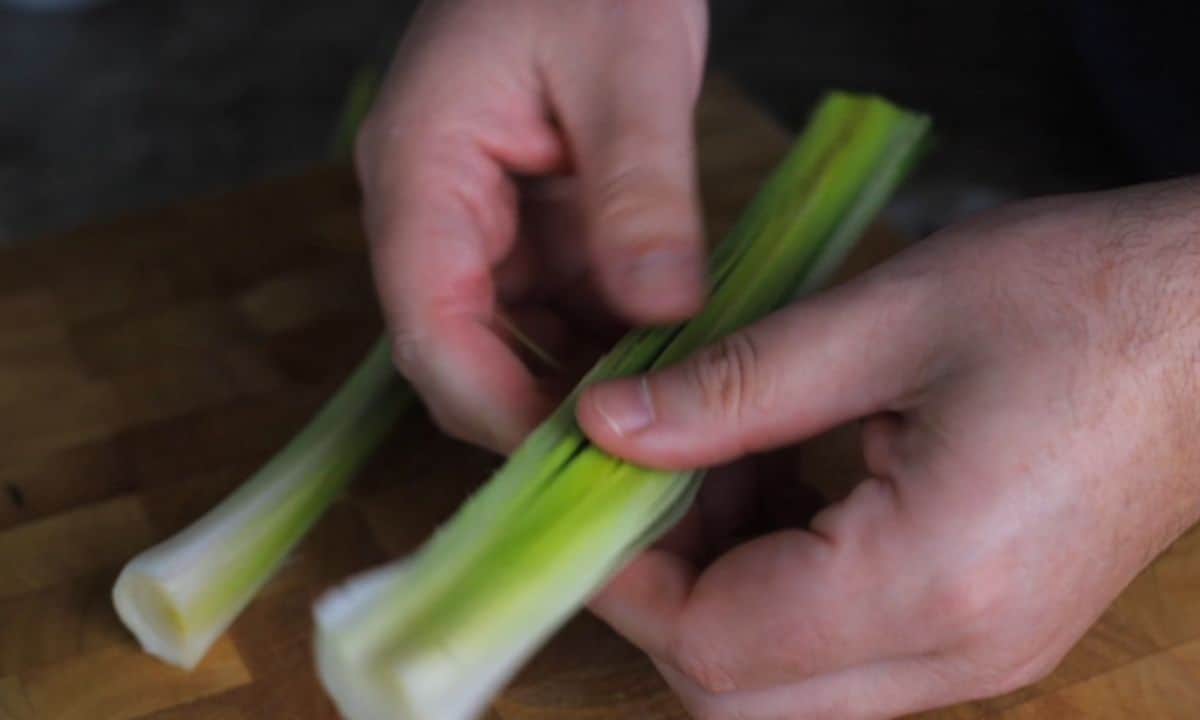 holding half a slice leek with two hands.