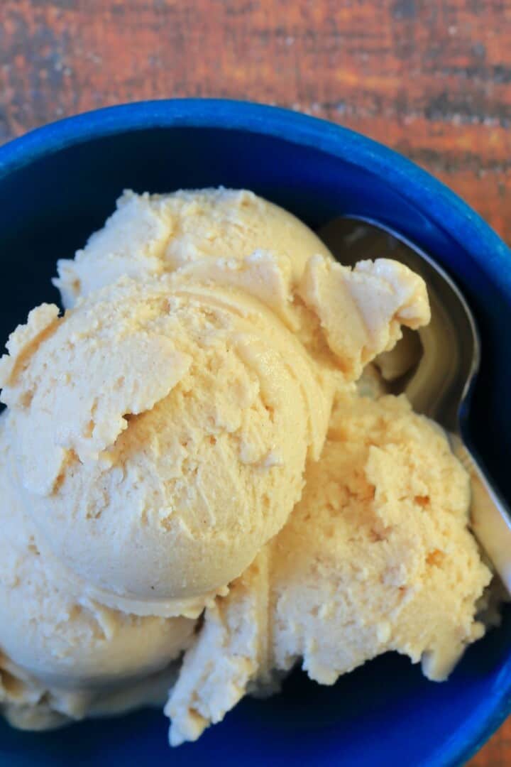 Gingerbread Ice Cream (Ninja Creami) - I Hacked Diabetes