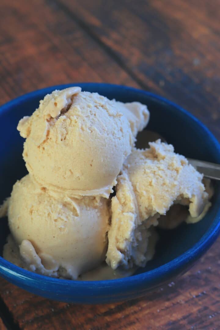 Gingerbread Ice Cream (Ninja Creami) - I Hacked Diabetes