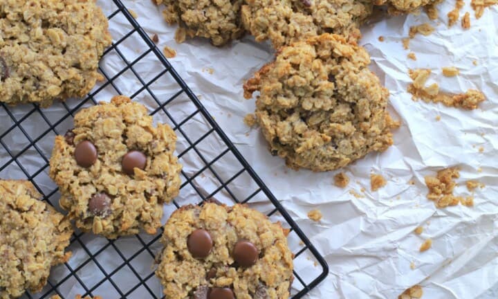 Sugar Free Oatmeal Cookies - I Hacked Diabetes