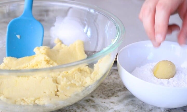 Sugar Free Lemon Cookie Recipe - I Hacked Diabetes