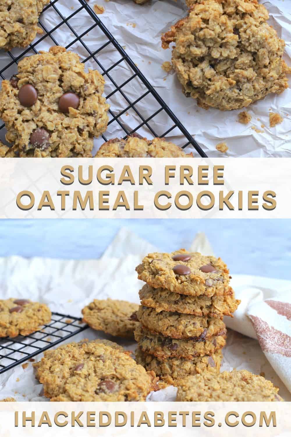 Sugar Free Oatmeal Cookies - I Hacked Diabetes