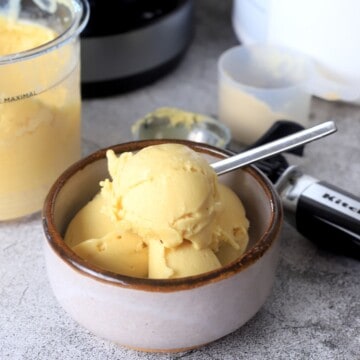 Ultimate Ninja Creami Protein Ice Cream Guide - I Hacked Diabetes