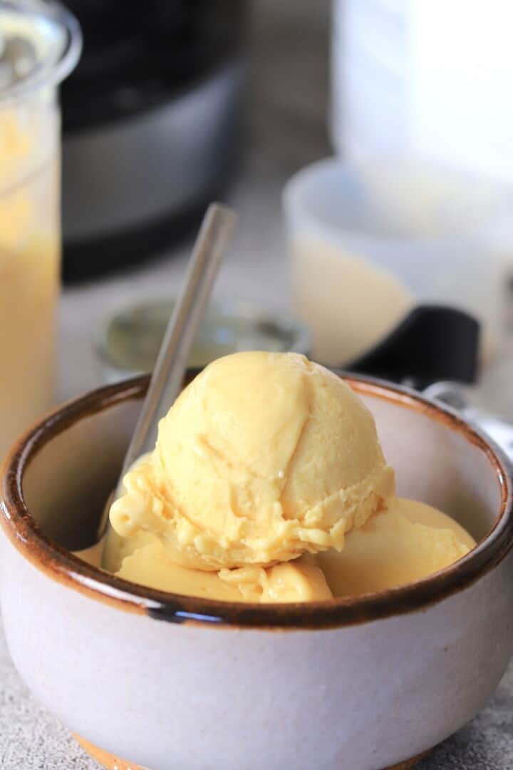 Ninja Creami Protein Ice Cream I Hacked Diabetes