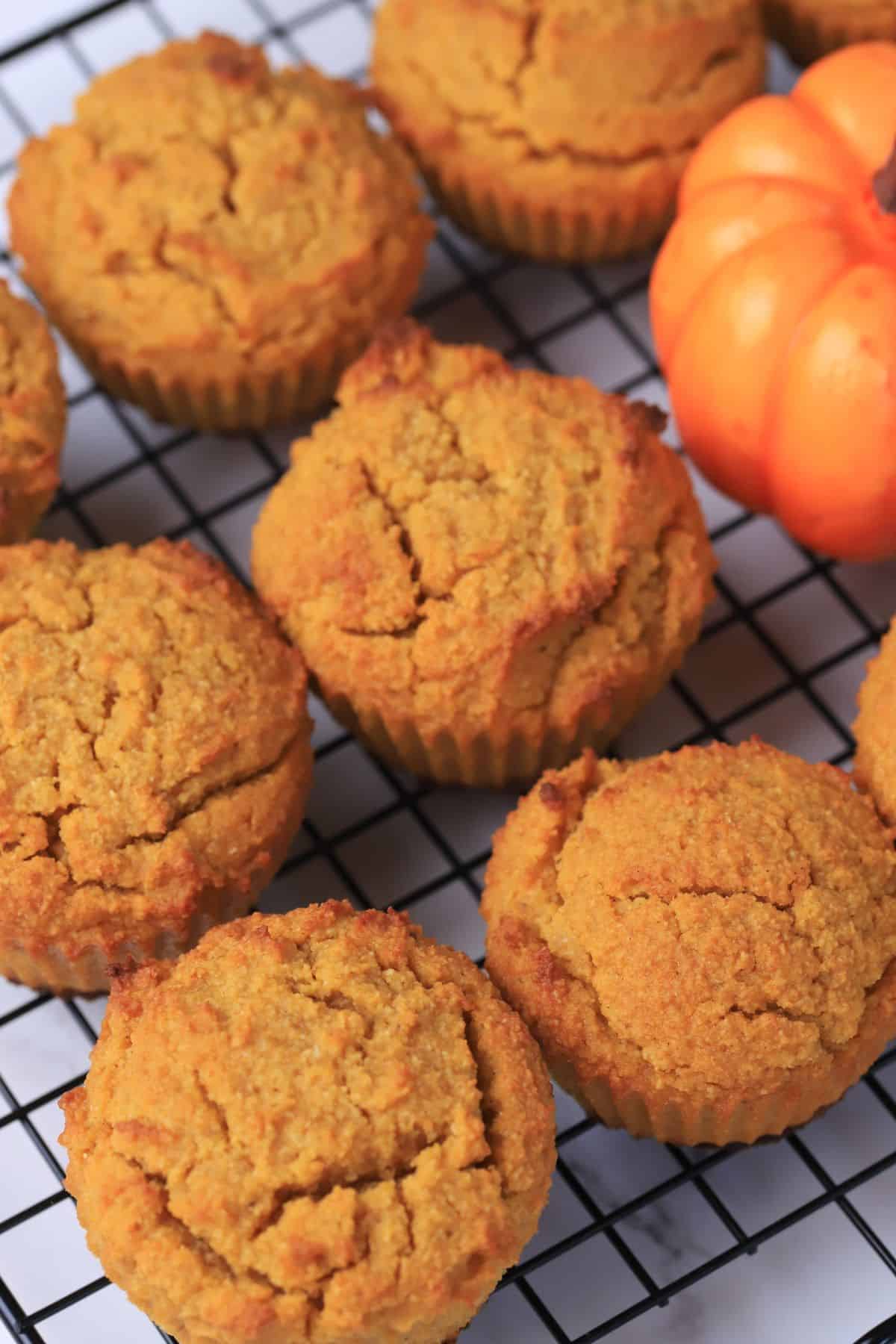 pumpkin muffins on a cooling rack with a small pumpkin.