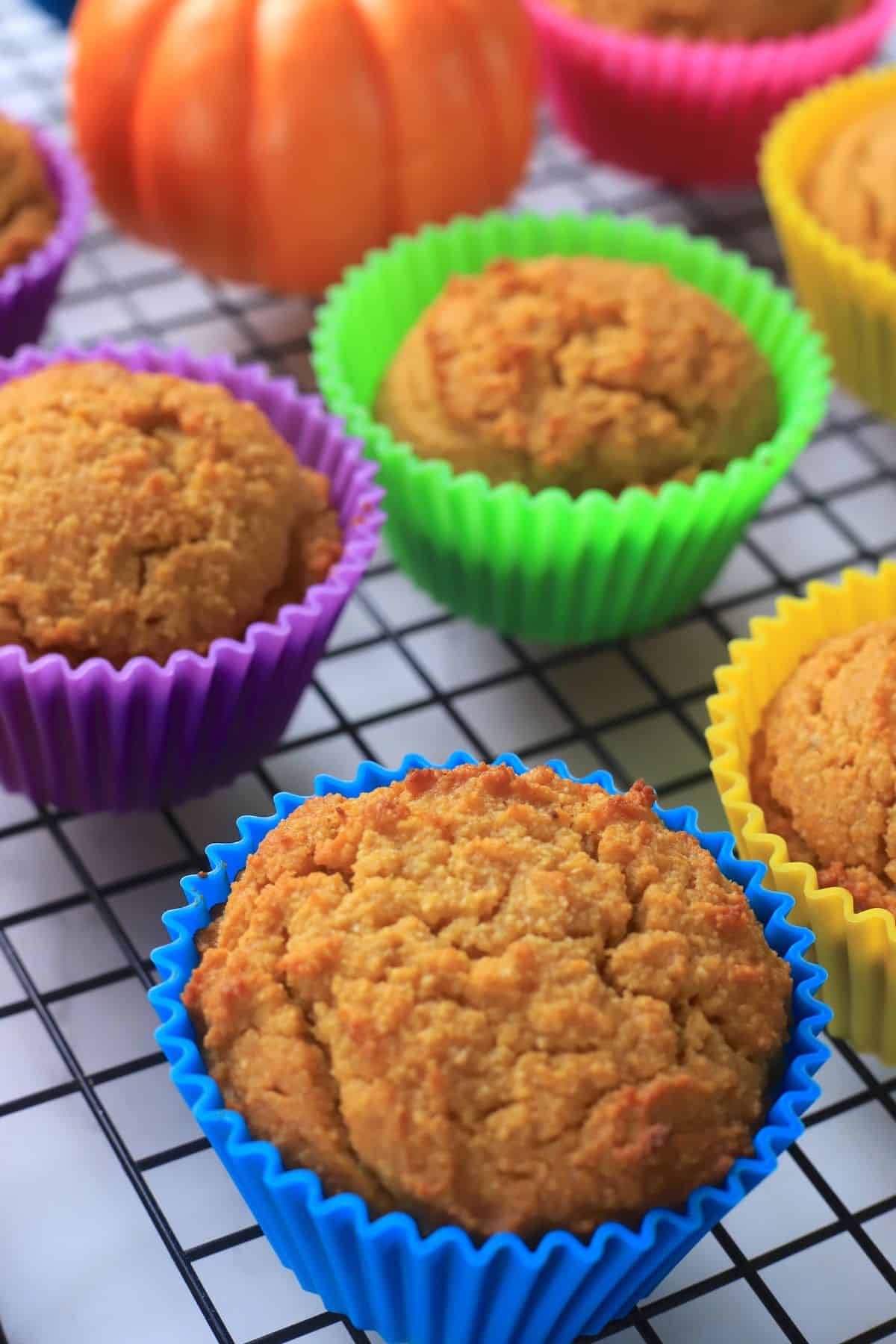 pumpkin muffins on a cooling rack with a small pumpkin.