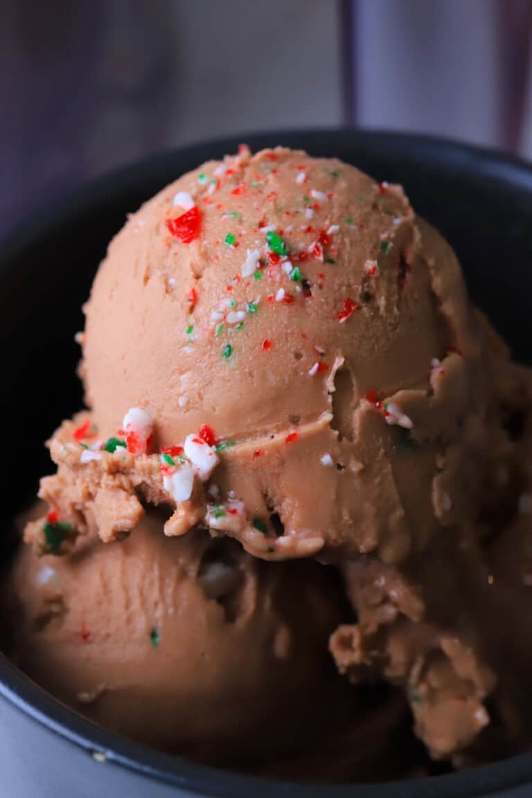 Ninja Creami Sugar Free Peppermint Mocha Ice Cream - I Hacked Diabetes