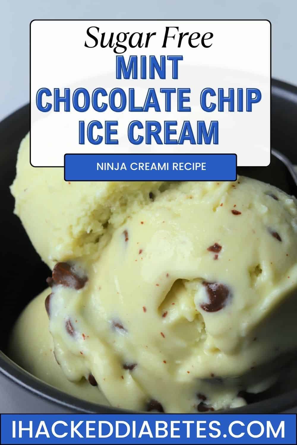 Sugar Free Mint Chocolate Chip Ice Cream (ninja Creami) - I Hacked Diabetes