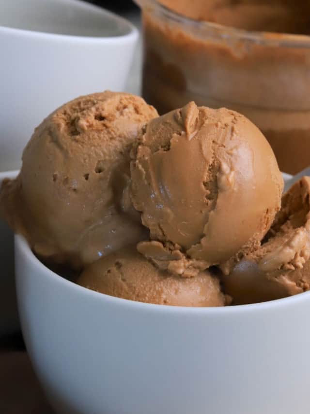 NINJA CREAMI SUGAR FREE PROTEIN ICE CREAM visual data 3