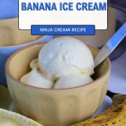 A bowl of sugar free banana ice cream.
