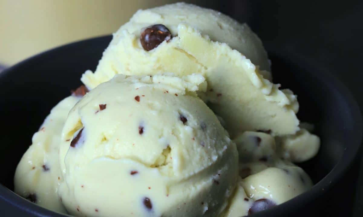 Two scoops of sugar free chocolate mint chip ice cream in a bowl.