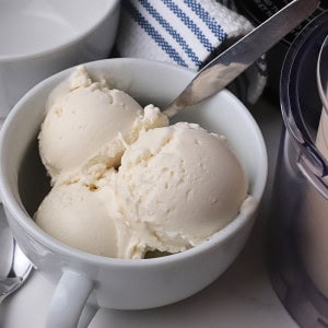 Bowl with scoops of dairy free coconut ice cream made in the ninja creami machine.