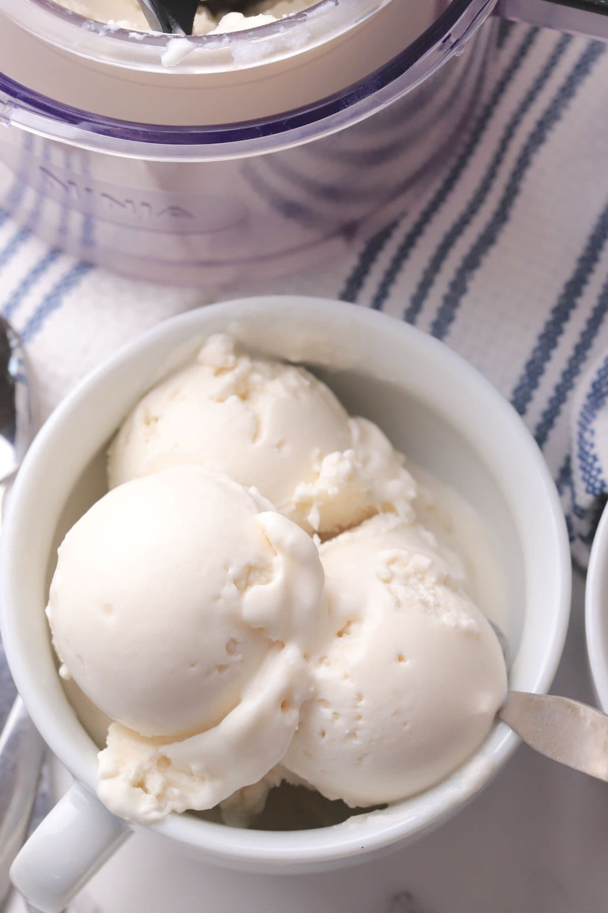 Bowl with scoops of dairy free coconut ice cream made in the ninja creami machine.