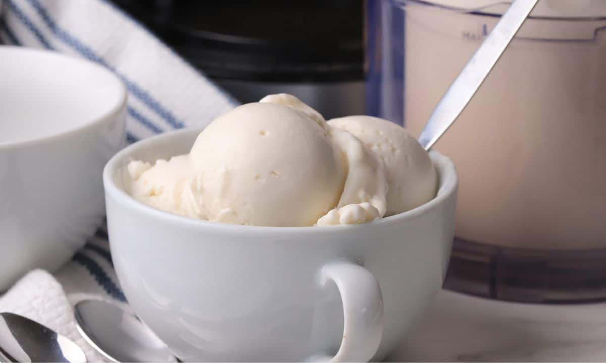 Bowl with scoops of dairy free coconut ice cream made in the ninja creami machine.