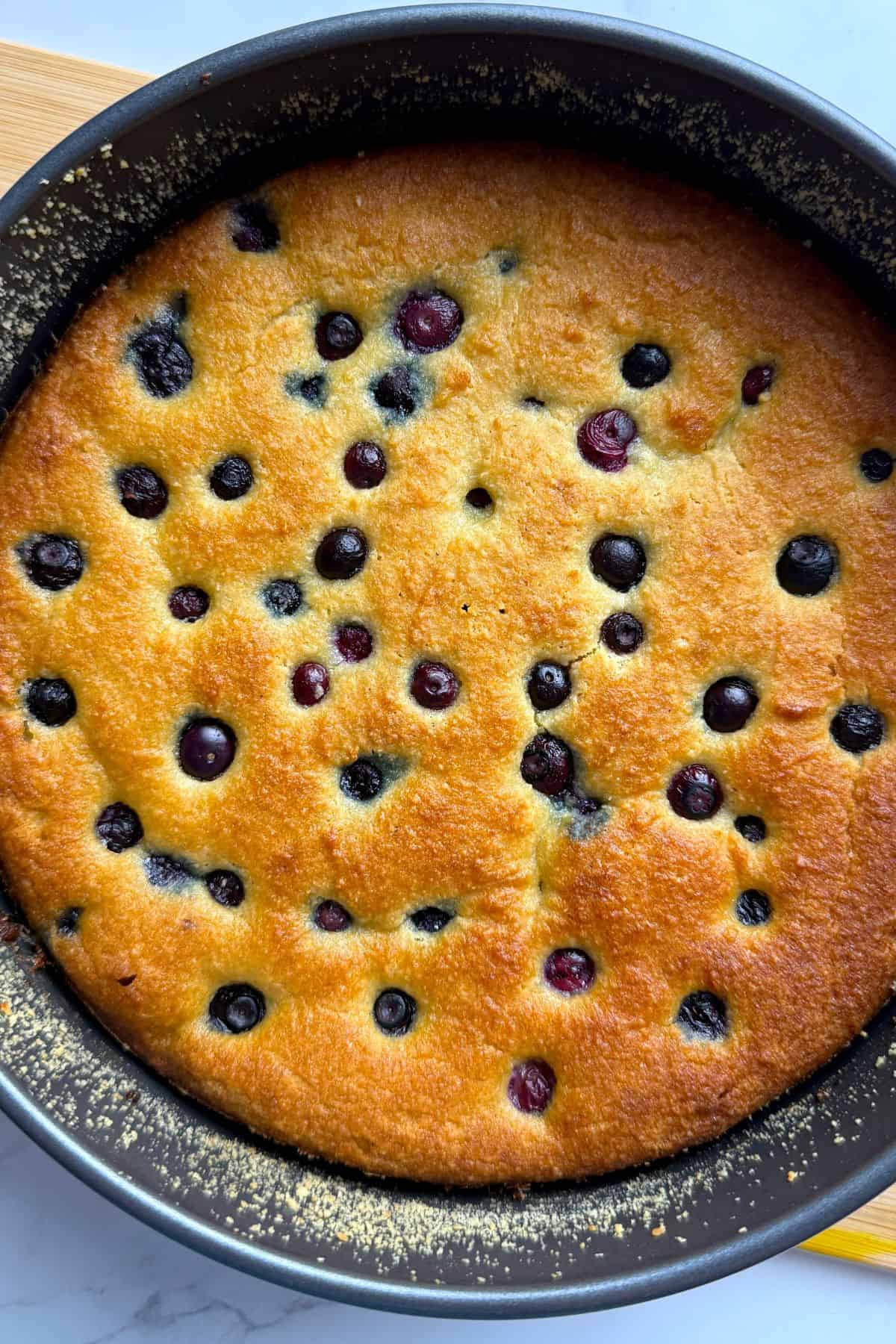 The low carb ricotta blueberry cake out of the oven.