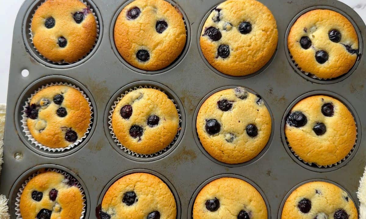 Baked blueberry cottage cheese muffins in the muffin tin.