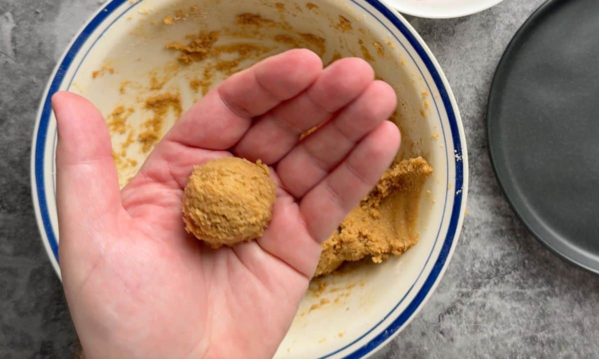 Tiramisu ball in a hand.