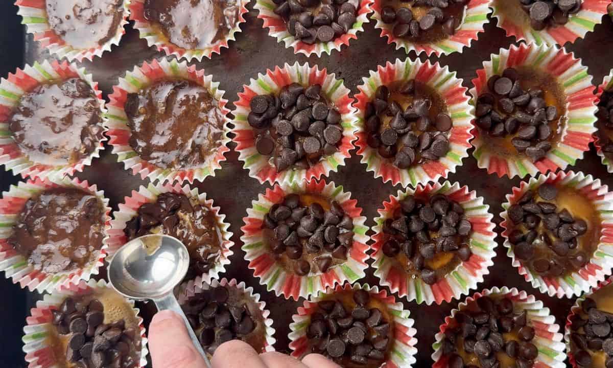 Smoothing the melted chocolate chips over the toffee pecans in the muffin liners.