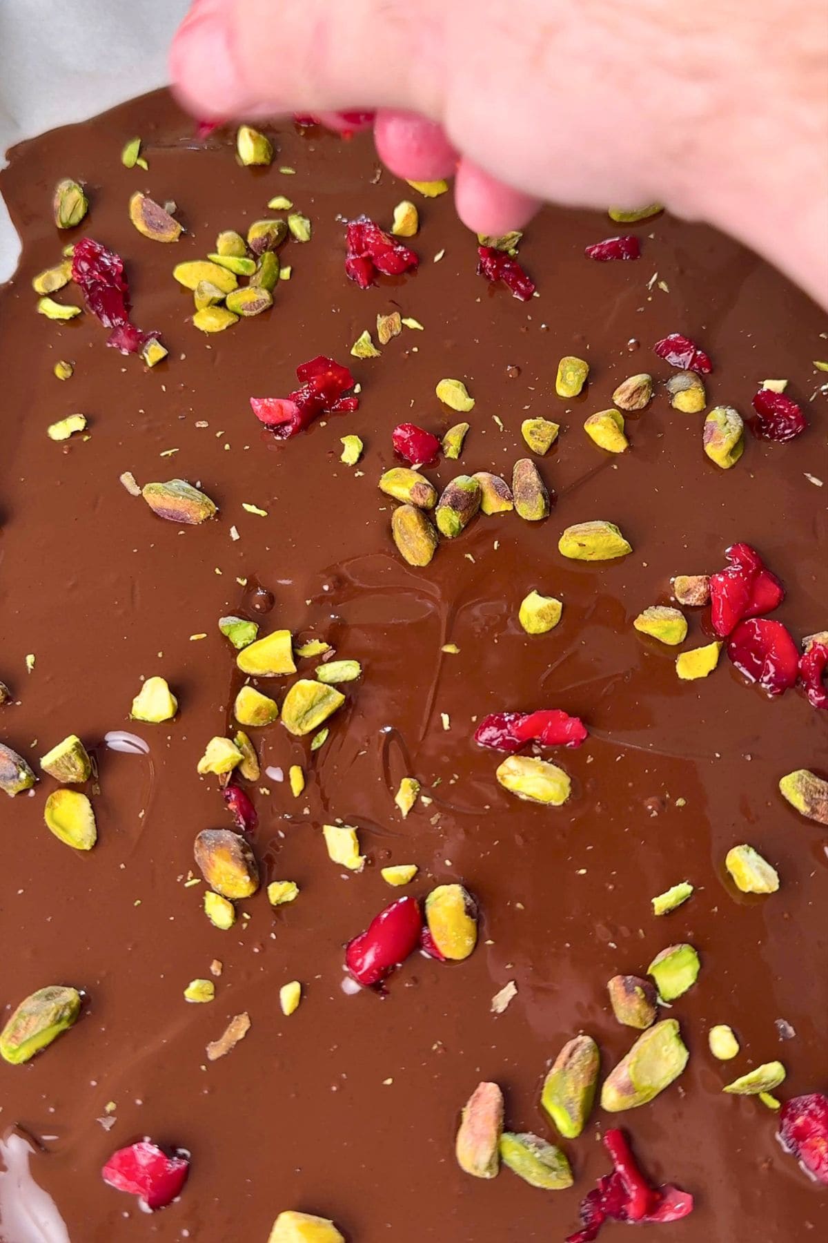 Topping the low carb pistachio cranberry chocolate bark.
