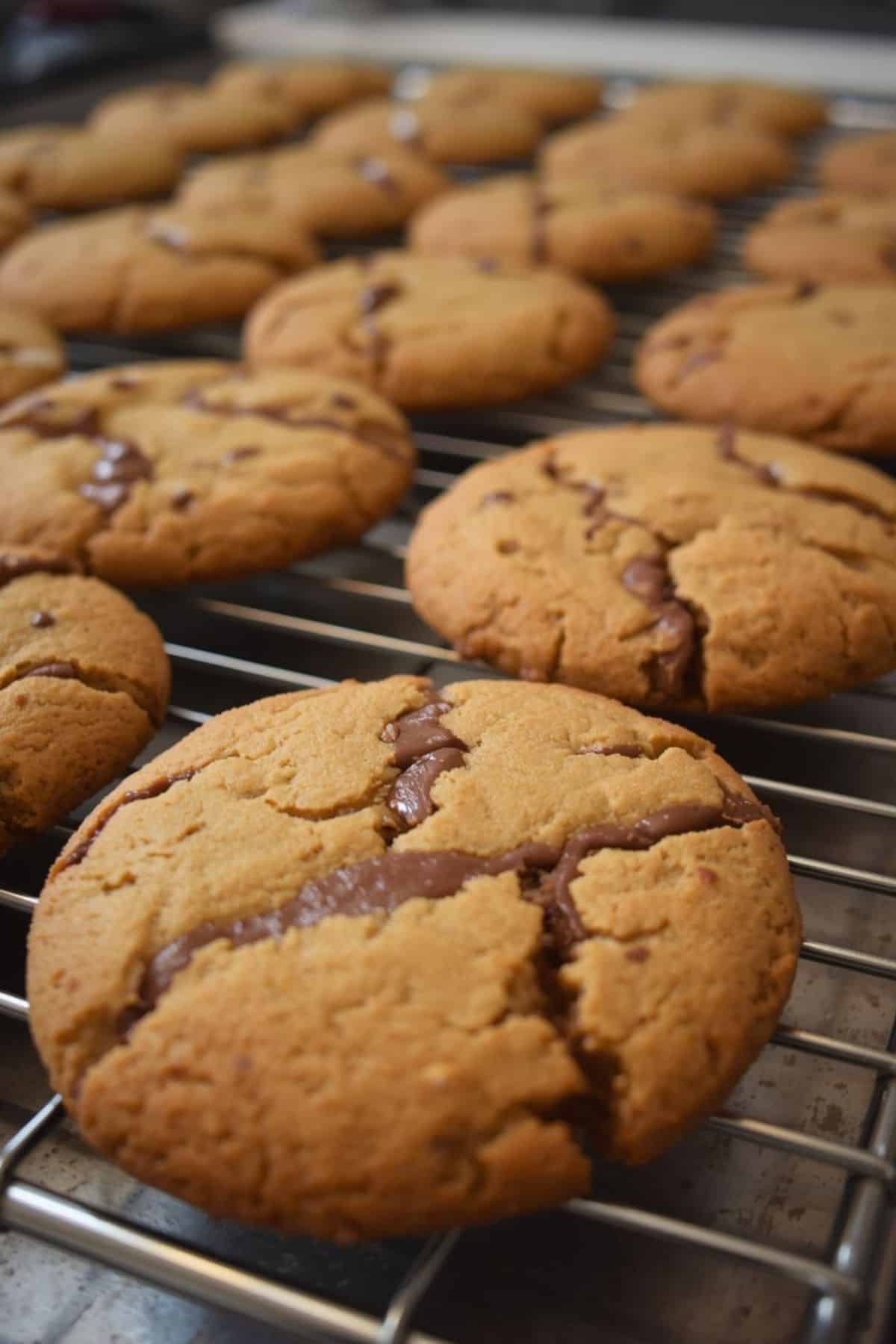 Cookies fresh from the oven.