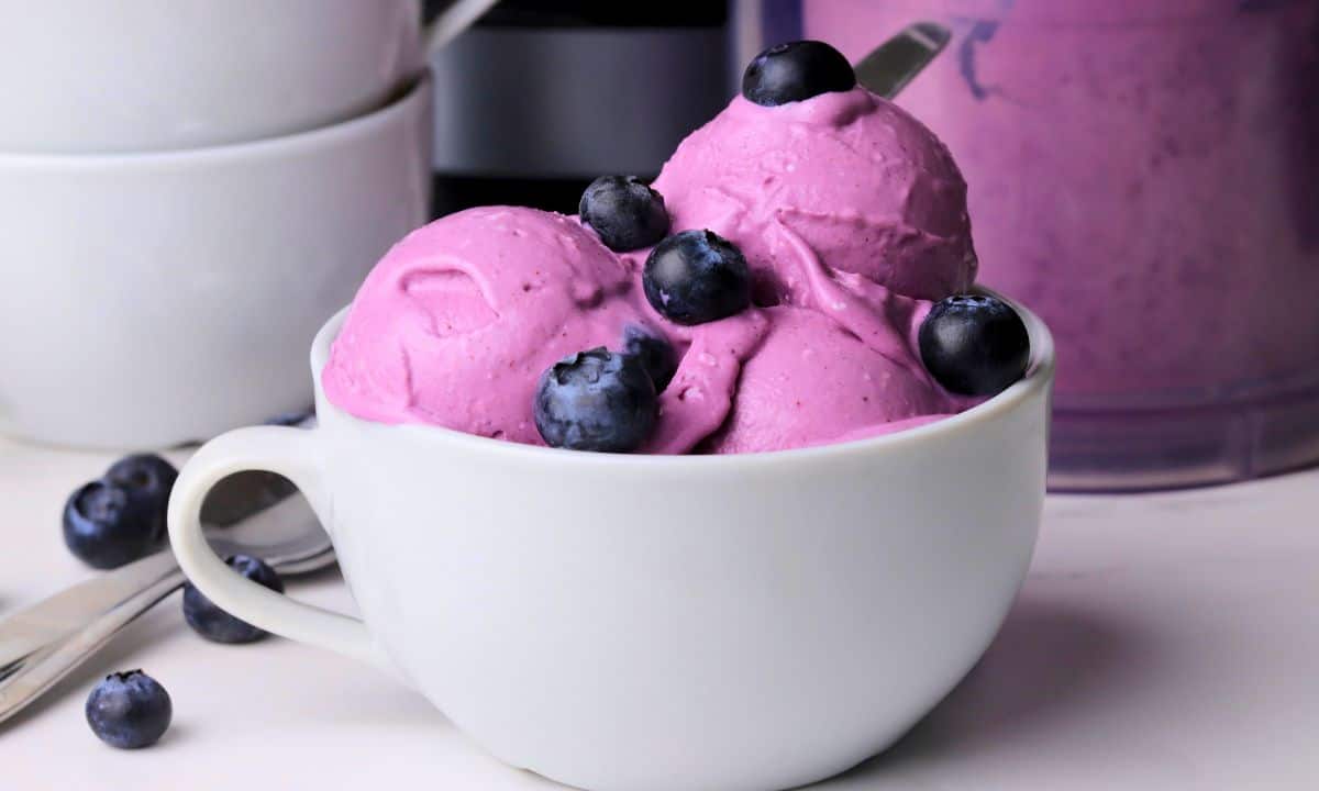 Low carb blueberry cottage cheese ice cream scoops in a bowl topped with fresh blueberries.