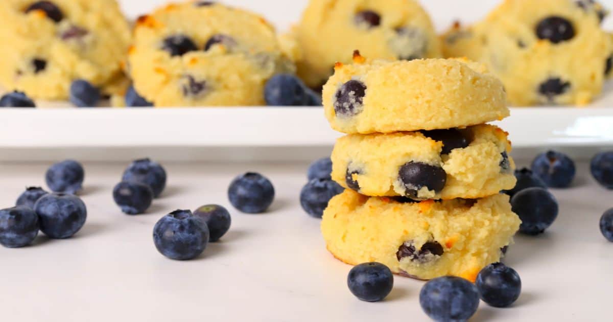 Blueberry Cottage Cheese Cookies (5 Ingredients) - I Hacked Diabetes