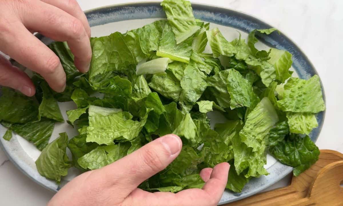 Placing the romaine lettuce onto the salad platter.