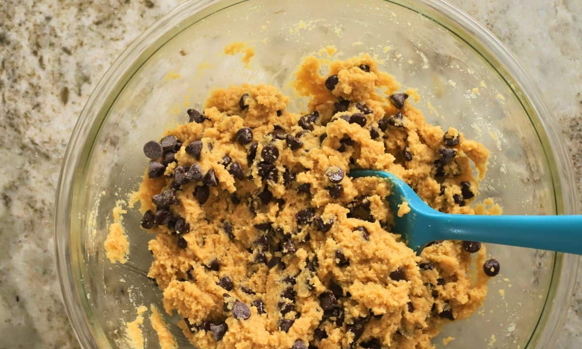 Mixing the sugar free chocolate chips into the batter.