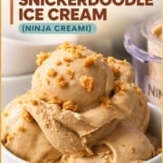 Sugar free snickerdoodle ice cream in a bowl.