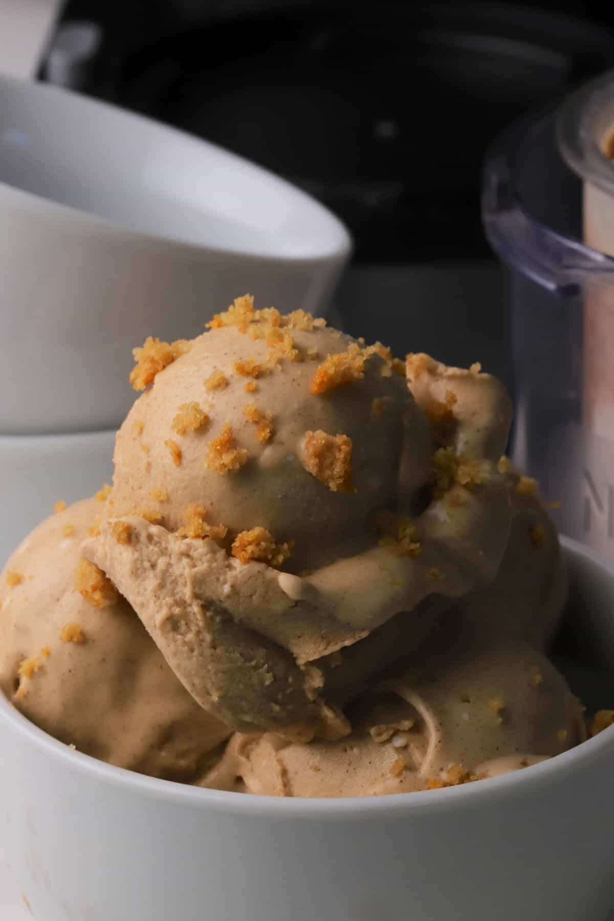 Sugar free snickerdoodle ice cream in a bowl.