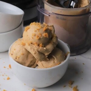 Sugar free snickerdoodle ice cream in a bowl.
