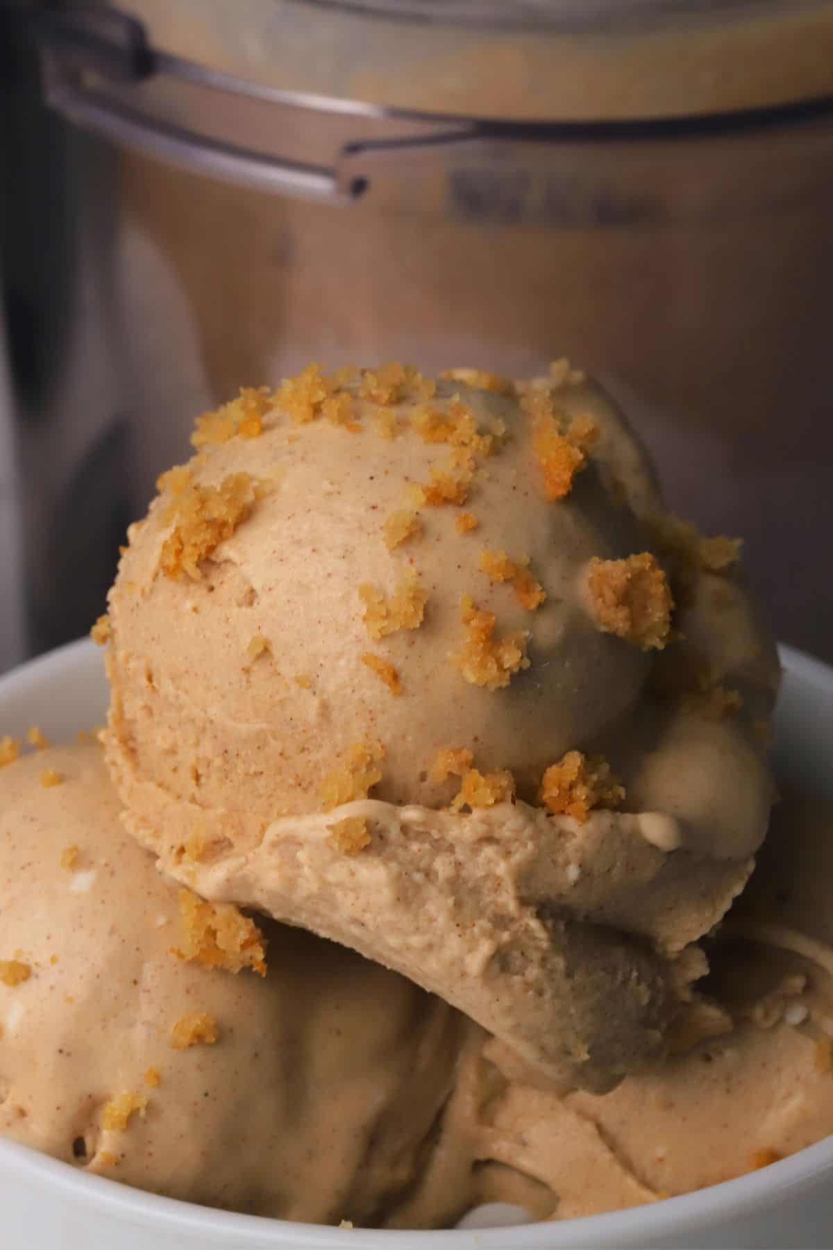 Sugar free snickerdoodle ice cream in a bowl.