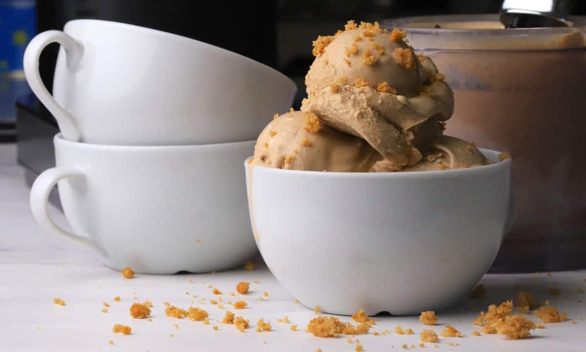 Sugar free snickerdoodle ice cream in a bowl.
